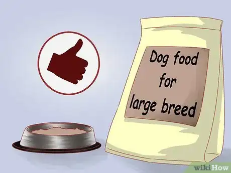 Image titled Care for Great Danes Step 1