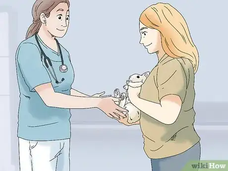 Image titled Keep Your Rabbit Healthy Step 4