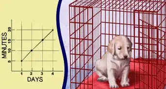 Buy a Puppy Crate