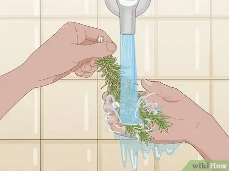 Image titled Harvest Tarragon Step 5