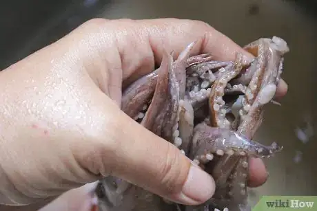 Image titled Make Takoyaki Step 1