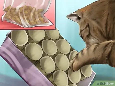 Image titled Feed a Cat Using Food Puzzles Step 9