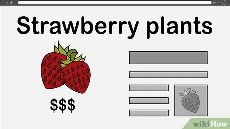 Image titled Buy a Strawberry Plant Step 12