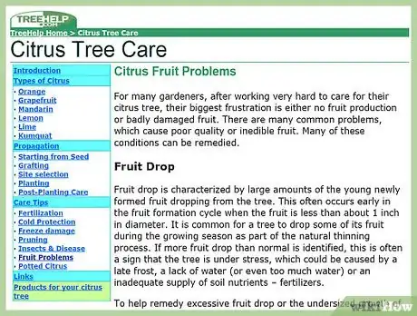 Image titled Troubleshoot Citrus Fruit Failure Step 1
