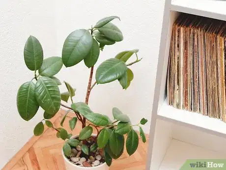 Image titled Purify the Air in Your House Step 8