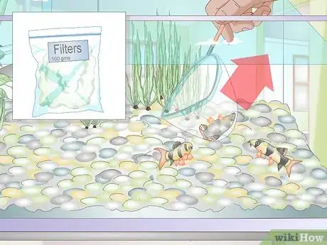 Image titled Take Care of Freshwater Fish Step 16