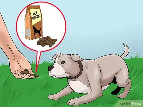 Image titled Catch a Runaway Dog Step 3