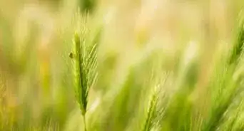 Transfer Your Problems to God Through Prayer