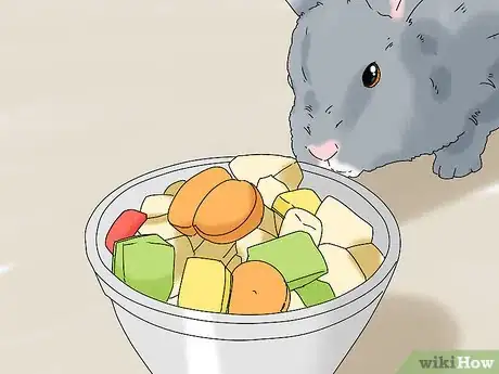 Image titled Keep Your Rabbit Healthy Step 8