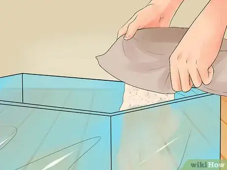 Image titled Care for Hermit Crabs Step 4