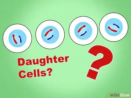 Image titled Differentiate Between Mitosis and Meiosis Step 7