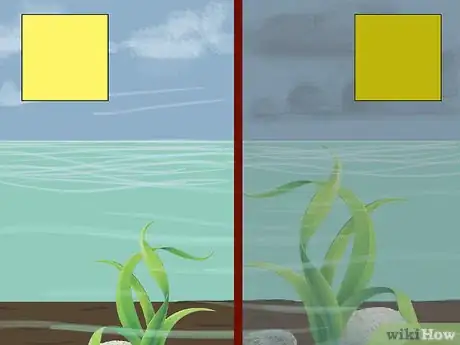 Image titled Use Color When Fly Fishing Step 3