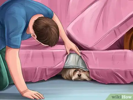 Image titled Be Good With Small Dogs Step 6