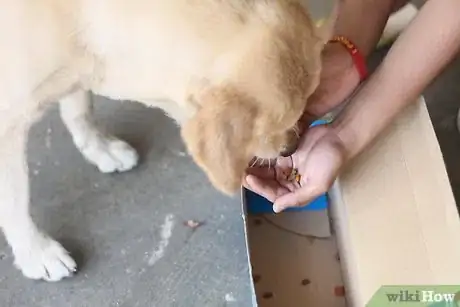 Image titled Train Your Dog in Nosework Step 5