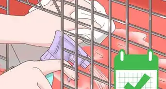 Treat Diarrhea in Rabbits