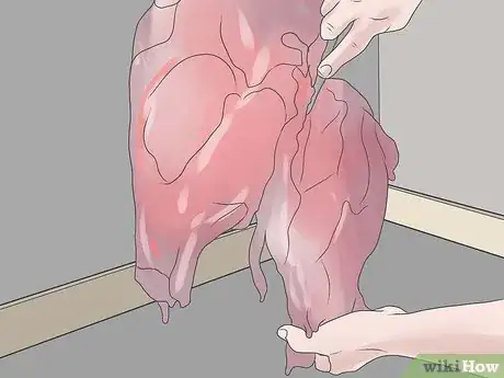 Image titled Butcher Deer Step 17
