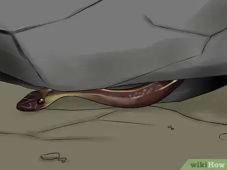 Image titled Catch a Garter Snake Step 6