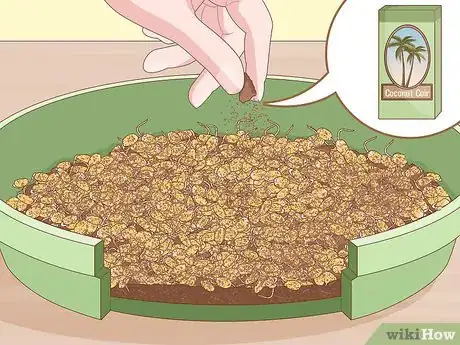 Image titled Grow Wheatgrass Without Soil Step 9