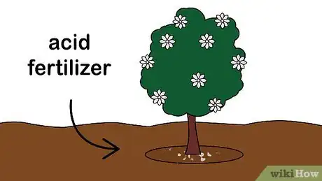 Image titled Care for a Gardenia Step 10