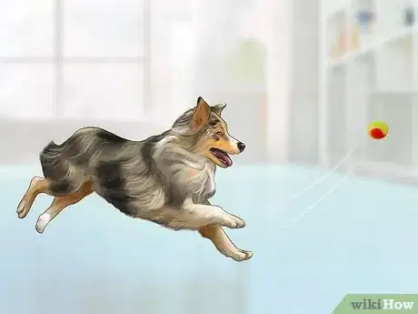 Image titled Know if You Are Ready for a Dog Step 33