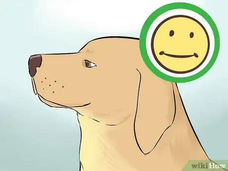 Image titled Create a Sound Reputation As a Dog Breeder Step 3