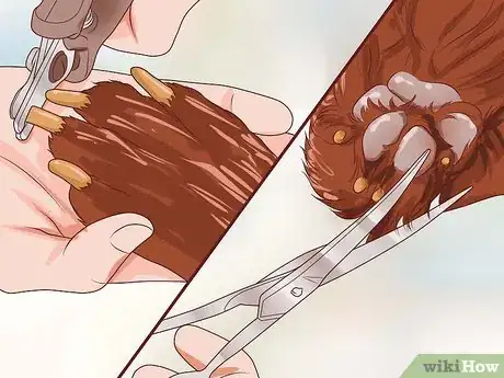 Image titled Put Nail Polish on Your Dog's Nails Step 8