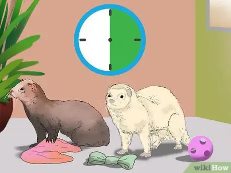 Image titled Raise Ferrets Together Step 8