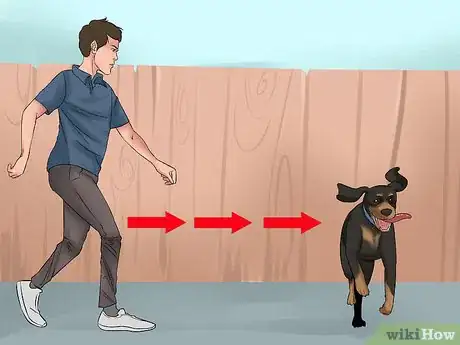 Image titled Catch a Runaway Dog Step 5