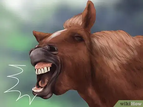 Image titled Spot Early Signs of Lameness in Horses Step 5