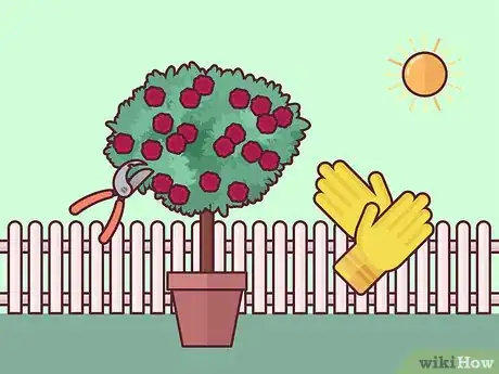 Image titled Prune Tree Roses Step 1