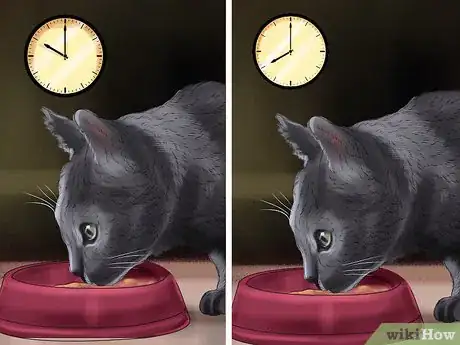 Image titled Take Care of a Selkirk Rex Step 9