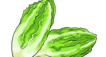 Choose Low Carb Ingredients