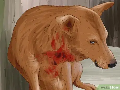 Image titled Return a Stray Dog to Its Owner Step 1