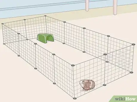 Image titled Teach Your Guinea Pig to Come when Called Step 1