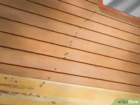 Image titled Control Ants Step 20
