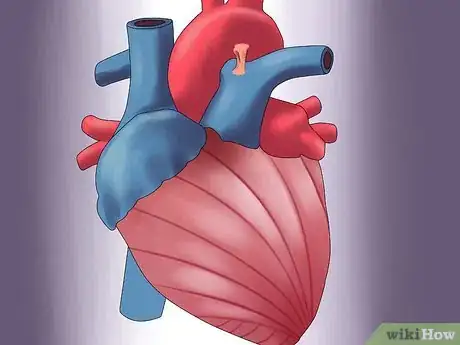 Image titled Determine Cardiac Output Step 14