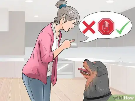 Image titled Get Along with Your Dog Step 8