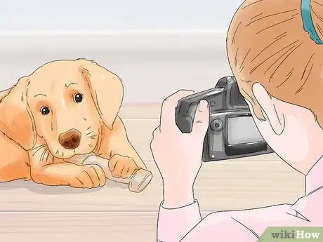 Image titled Photograph Dogs Step 13