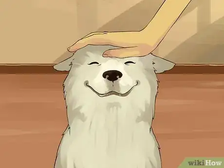 Image titled Give a Small Dog a Bath Step 16