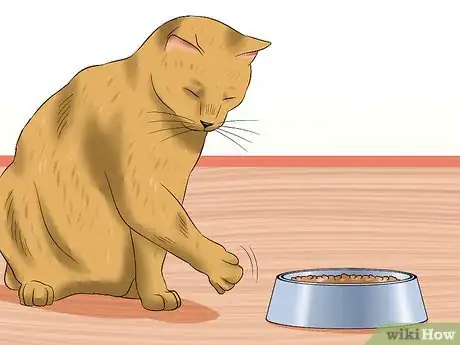 Image titled Diagnose Feline Retinal Disease Step 2