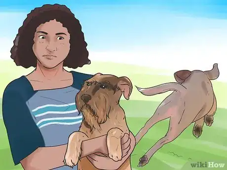 Image titled Teach Your Dog to Bolt from a Standing Start Step 1
