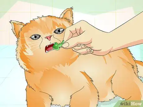 Image titled Determine if Your Cat is Overweight Step 11
