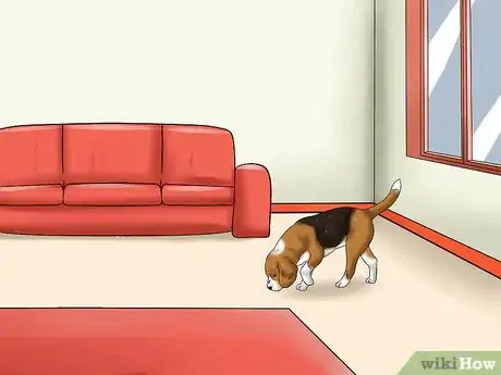 Image titled Deal with Having a Visually Impaired Dog Step 15