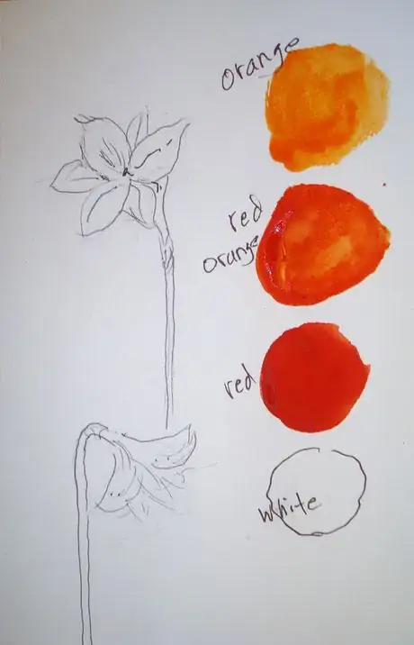 Image titled Colorsofamary