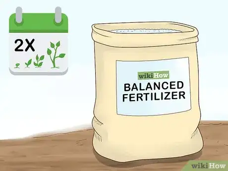 Image titled Grow Herbs Outdoors Step 13