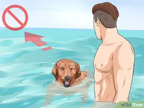 Image titled Protect Your Dog Around Natural Water Sources Step 9