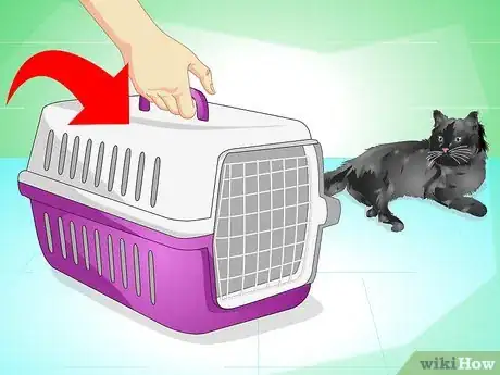 Image titled Introduce a Cat to a New Home Step 2