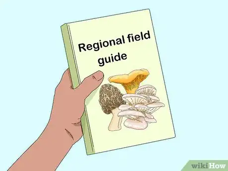 Image titled Identify Mushrooms Step 10
