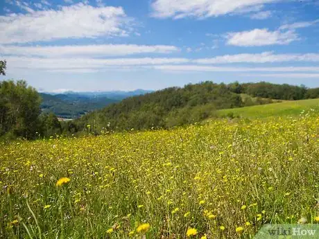 Image titled Spend Summer Vacation in the Mountains Step 2