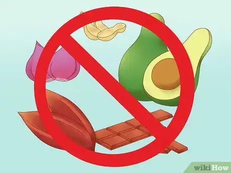 Image titled Feed a Conure Step 9